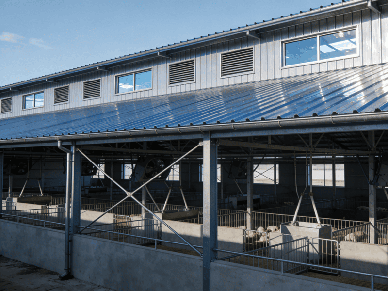چه چیزی یک مزرعه اسکلت فولادی را به بهترین انتخاب برای کشاورزی مدرن تبدیل می کند؟